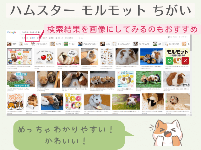 「ハムスター　モルモット　ちがい」で検索した結果を画像で表示した一覧