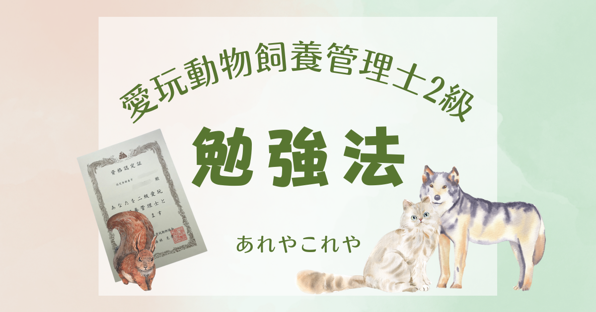 愛玩動物飼養管理士2級に14日間で合格できた勉強法とは?独学なら32000円の受講費用を安くできる? 令和最新!愛玩動物飼養管理士2級 に14日間最短で合格する方法【保存版】 愛玩動物飼養管理士2級に14日間で合格できた勉強法とは?独学なら32000円の受講費用を安くできる? 令和最新!愛玩動物飼養管理士2級 に14日間最短で合格する方法【保存版】