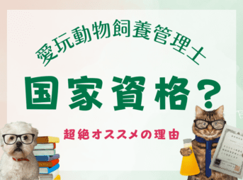 愛玩動物飼養管理士は国家資格?