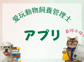 愛玩動物飼養管理士アプリ