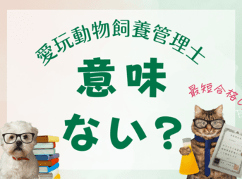 愛玩動物飼養管理士意味ない?